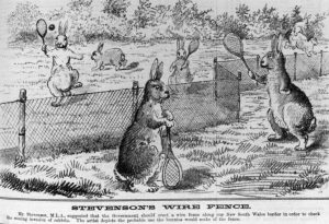 Caption: It doesn’t look like this is going to work! From the Queensland Figaro 2nd August 1884 p.129